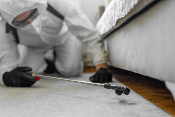 Professional Bed Bug Control technician working in Baxter Estates, NY